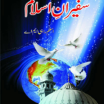 Safeer e Islam