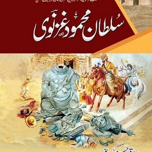 Sultan Mehmood Ghaznavi