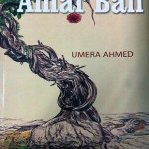 Amar Bail