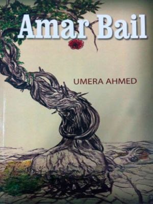 Amar Bail Amar Bail