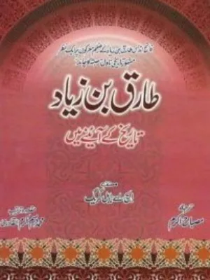 Tariq Ibn e Zayad