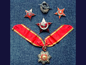Yildiz Intelligence