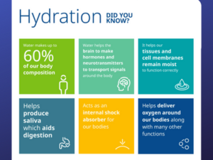 importance of water for human body