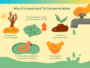 importance of water perservation