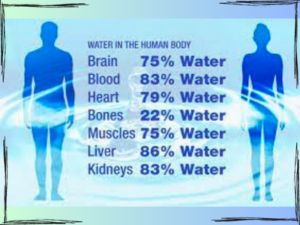 importance of water for human body