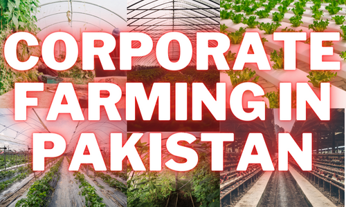corporate farming in pakistan