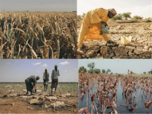 famine in africa