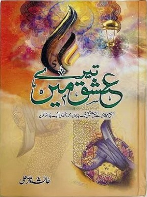 Teray Ishq Mein