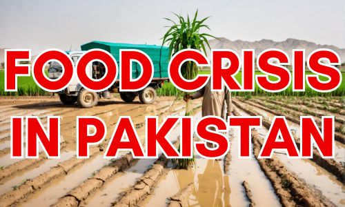Food Crisis In Pakistan